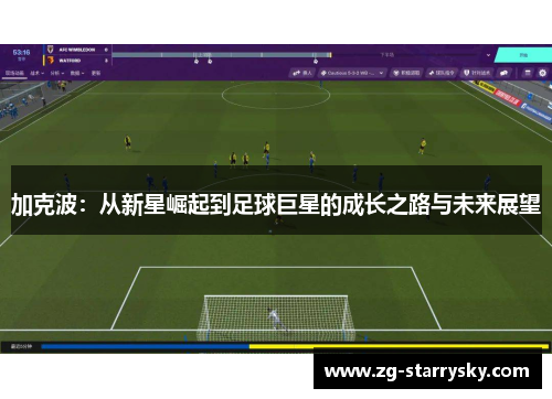 加克波：从新星崛起到足球巨星的成长之路与未来展望