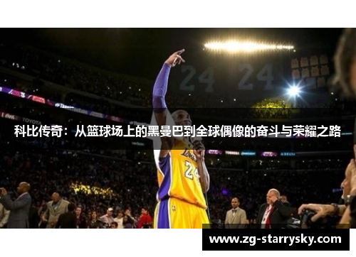 科比传奇：从篮球场上的黑曼巴到全球偶像的奋斗与荣耀之路